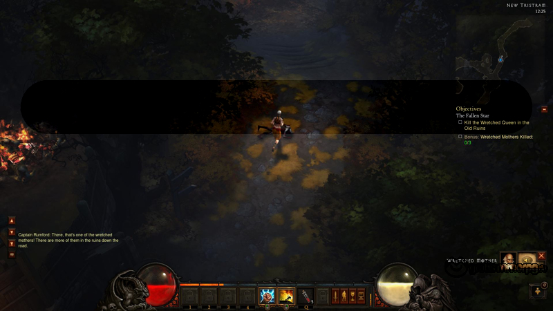 Klicke auf die Grafik für eine größere AnsichtName:	Diablo III 2012-03-03 12-25-59-79.JPGHits:	51Größe:	265,9 KBID:	6827