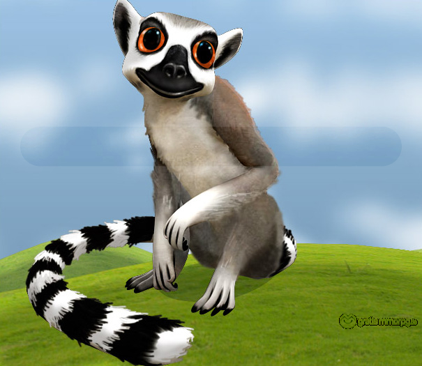 Klicke auf die Grafik für eine größere AnsichtName:	Lemur.JPGHits:	132Größe:	198,5 KBID:	6872