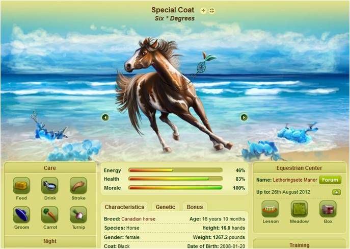 120906_9am_HOW_S_005_DD2012