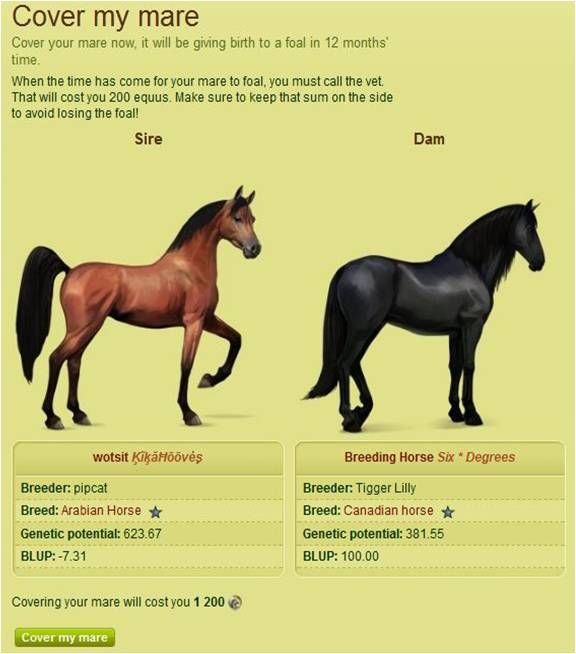 120906_9am_HOW_S_006_DD2012