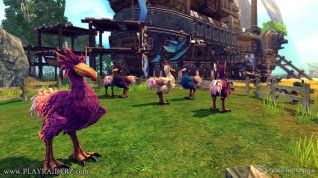 raiderz_assassin_update_screenshot_007