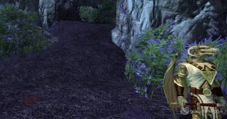 EverQuest 2 review04