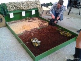 Wargaming event photos (3)