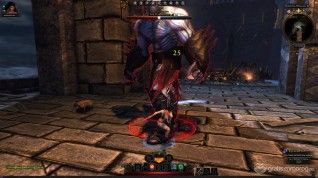 Neverwinter screenshot (25)